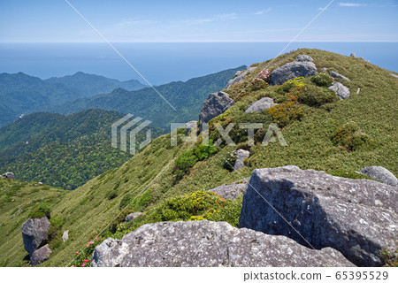 宮之浦山的景色 65395529