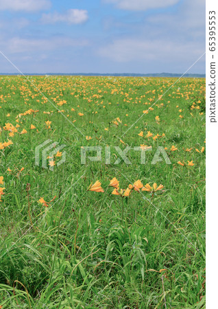 Sarobetsu荒野 65395553