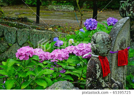 Yataji Hydrangea Nara Prefecture 65395725