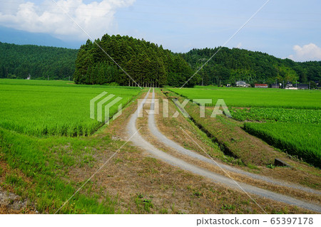 Mr. Maruike Yamagata Prefecture tourist destination Mr. Maruike Yamagata Prefecture tourist destination 65397178