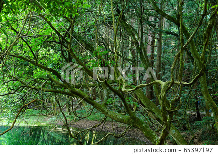 Mr. Maruike Yamagata Prefecture tourist destination Mr. Maruike Yamagata Prefecture tourist destination 65397197