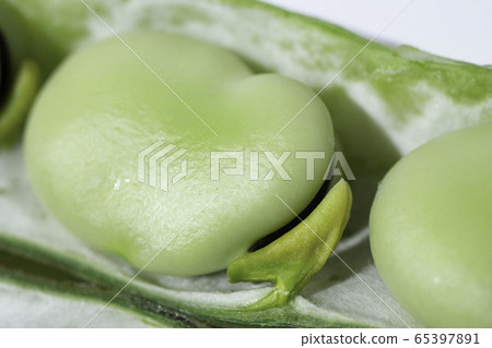 美味蠶豆(也稱為綠豆,堅果,豆類,大豆,小扁豆,學名:Vicia 美味蠶豆(也稱為綠豆,堅果,豆類,大豆,小扁豆,學名:Vicia 65397891