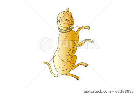88星座金犬 88星座金犬 65398053