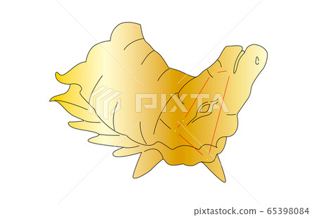 88 constellation Constellation 65398084