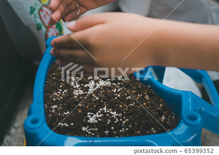 牽牛花 提高 小學學生 65399352