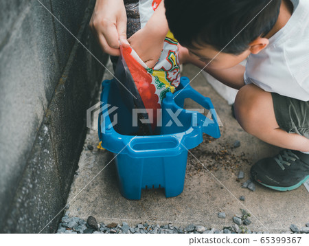 牽牛花 提高 小學學生 65399367