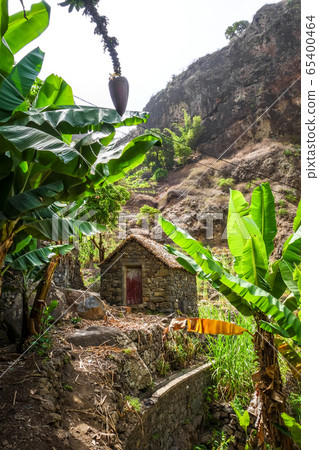 Traditional houses in Paul Valley, Santo Antao Traditional houses in Paul Valley, Santo Antao 65400464