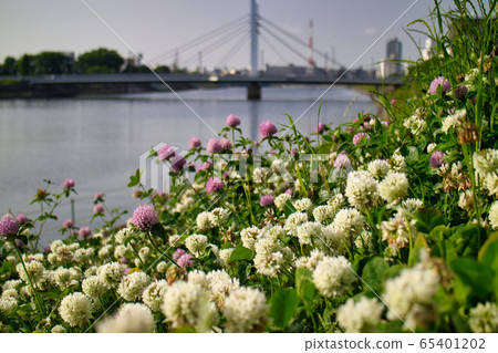花開在銀行 花開在銀行 65401202