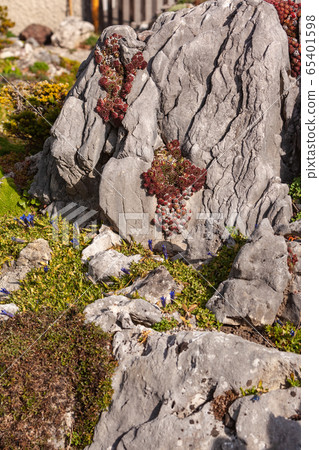 Stone garden in spring Stone garden in spring 65401598