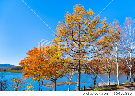 長野縣白rak湖 65401880