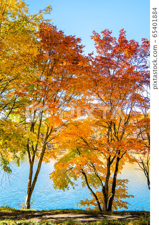 長野縣白rak湖 65401884