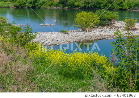 強姦在河岸上開花 65401968
