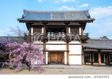 Horyuji Belfry and Sakura Haru (Ikaruga Town, Ikoma District, Nara Prefecture) 65402055