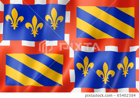 Bourgogne Region flag, France 65402384