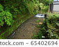 stream 65402694