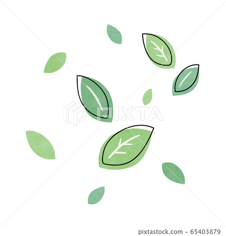 Leaf fresh green Leaf fresh green 65403879