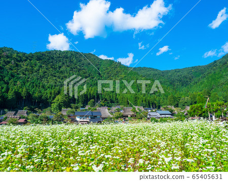 蕎麥花和Miyama Seki no Sato 65405631