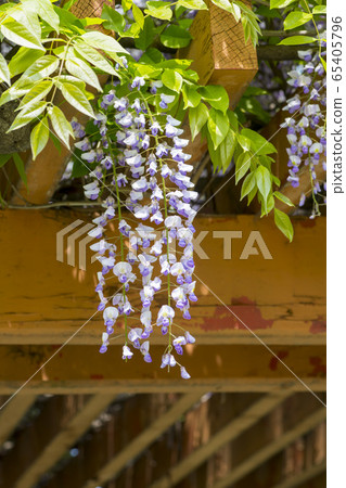 rattan rattan 65405796