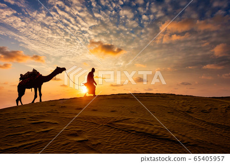 Indian cameleer camel driver with camel silhouettes in dunes on sunset. Jaisalmer, Rajasthan, India 65405957