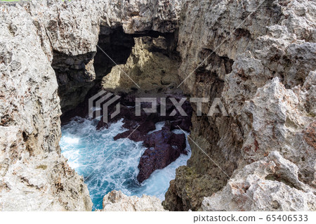 Okinoerabu Island Futchan Okinoerabu Island Futchan 65406533
