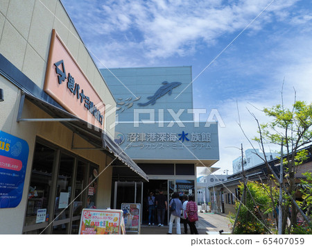 Numazu Port Deep Sea Aquarium in Numazu City, Shizuoka Prefecture Numazu Port Deep Sea Aquarium in Numazu City, Shizuoka Prefecture 65407059