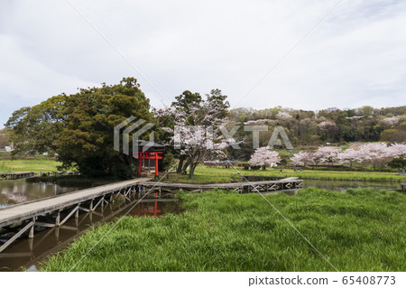 Itsukushima Wetland Park, Nakai Town, Ashigarakami District, Kanagawa Prefecture 65408773