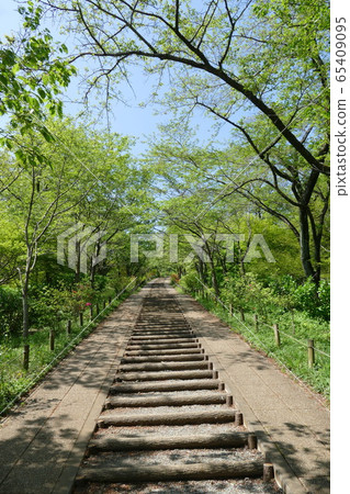Landscape with stairs Landscape with stairs 65409095