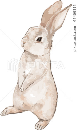 Rabbit-B Rabbit-B 65409513