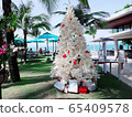 Christmas in midsummer 65409578