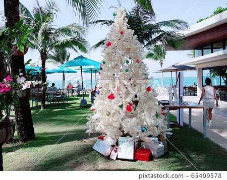 仲夏聖誕節 65409578