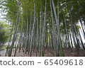 丹陽竹博物館竹 65409618