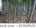 丹陽竹博物館竹 65409620