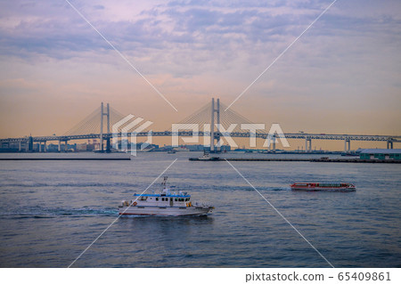 帶有冠狀病毒和大國碼頭的日本遊輪的橫濱城市景觀= 25天(這一天,預防感染的基本方針) 帶有冠狀病毒和大國碼頭的日本遊輪的橫濱城市景觀= 25天(這一天,預防感染的基本方針) 65409861