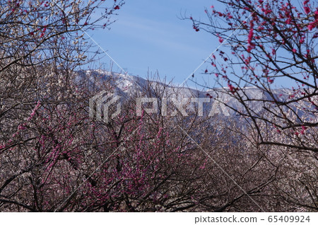 Inabe City Bairin Park 65409924