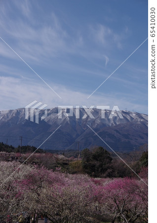 Inabe City Bairin Park 65410030