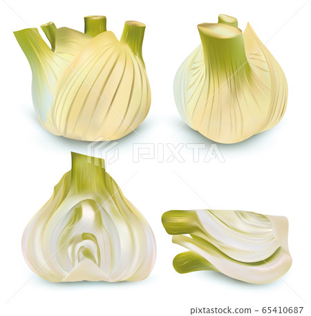 Realistic fennel. Aromatic spices isolated on white background. Concept food. 3D set illustration. 65410687