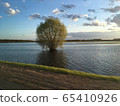 Bush in the lake, travel to rural area 65410926
