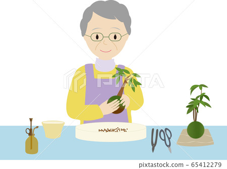 女人享受苔蘚盆景的照顧 65412279