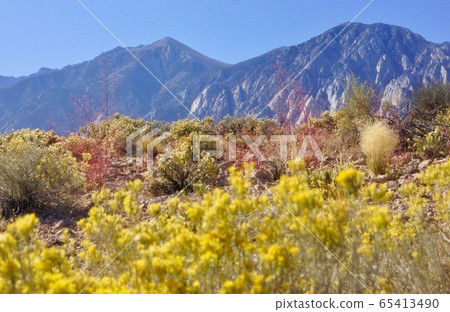 Scenery of the desert area in California, USA 65413490