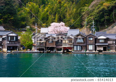 京都府伊內町Kaizoji寺的櫻花 京都府伊內町Kaizoji寺的櫻花 65414013