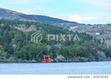 蘆之湖 蘆之湖 65414504