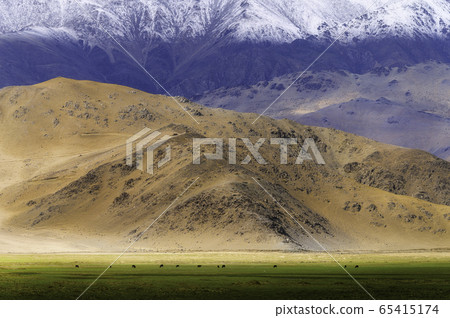 Beautiful view of Ladakh region in summer in north India 65415174