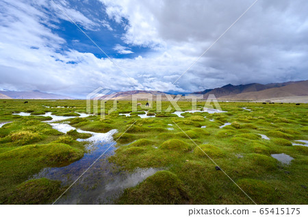 Beautiful view of Ladakh region in summer in north India 65415175