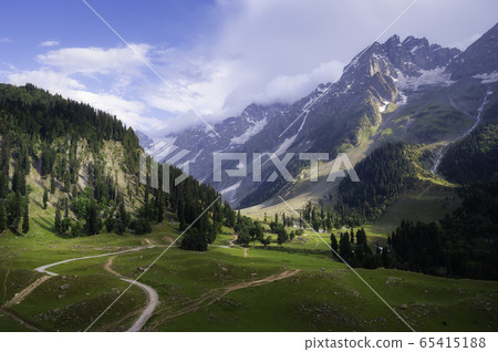Beautiful landscape view of Sonamarg in Thajiwas park 65415188