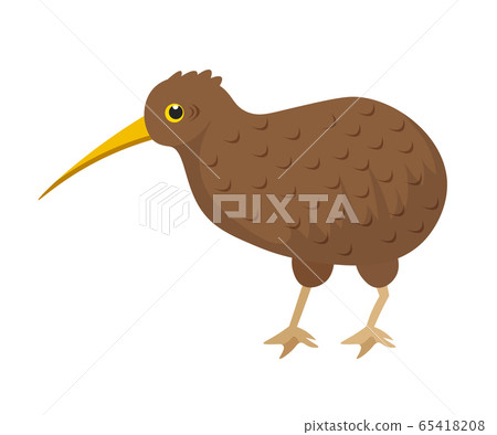 Brown Small Kiwi Bird With Long Beak On White Stock Illustration 65418208 Pixta