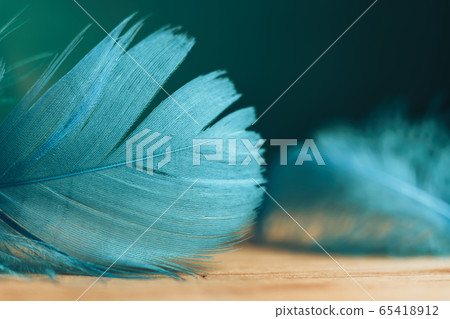 Close up Beautiful blue Bird feather on a wooden Close up Beautiful blue Bird feather on a wooden 65418912