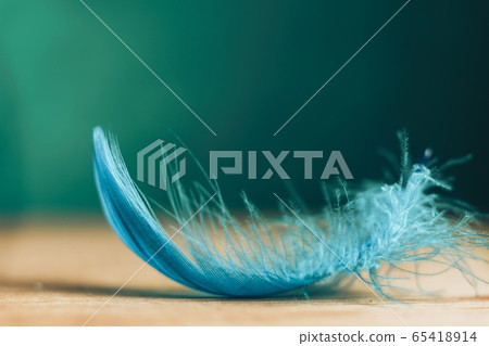 Close up Beautiful blue Bird feather on a wooden Close up Beautiful blue Bird feather on a wooden 65418914