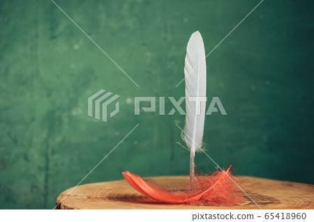 Beautiful Bird feather on a wooden table and green Beautiful Bird feather on a wooden table and green 65418960