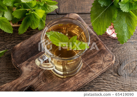 A cup of melissa tea with fresh melissa twigs 65419090