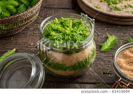 Preparation of homemade syrup against cough from young spruce tips Preparation of homemade syrup against cough from young spruce tips 65419094